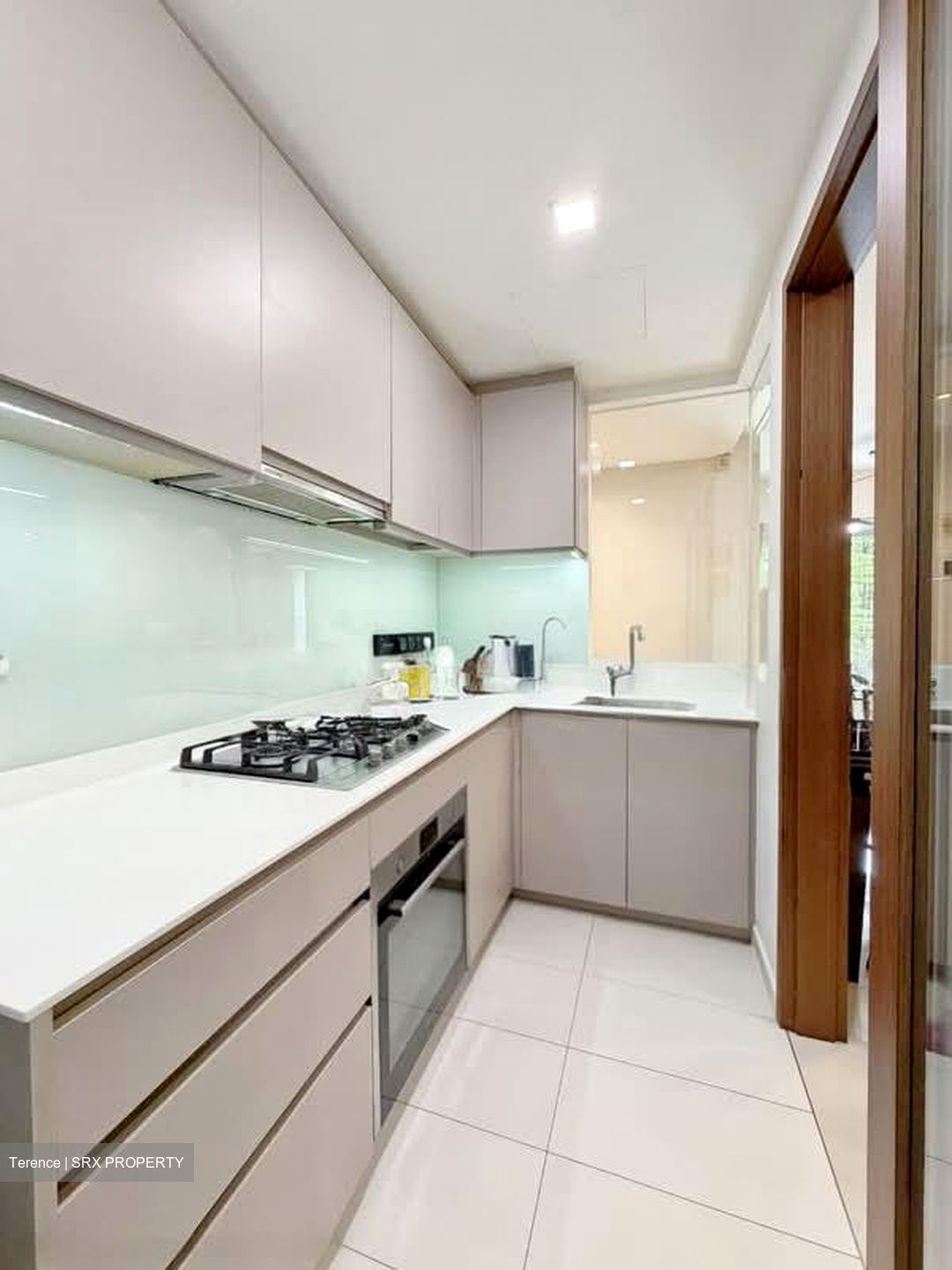 The Visionaire (D27), Condominium #583262821